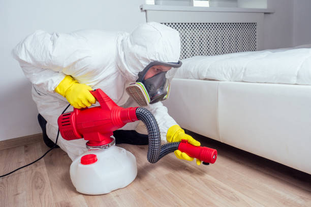  Queen Creek, AZ Pest Control Pros