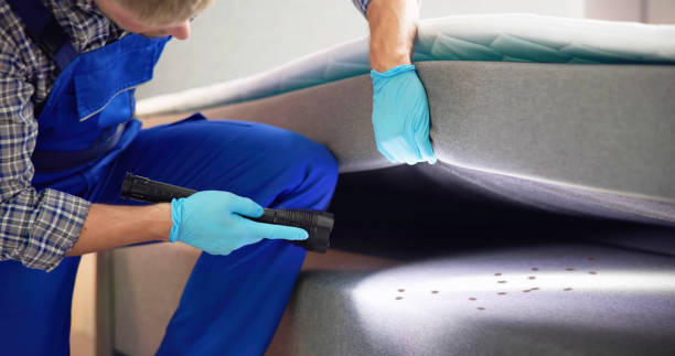 Best Exterminator Services  in Queen Creek, AZ
