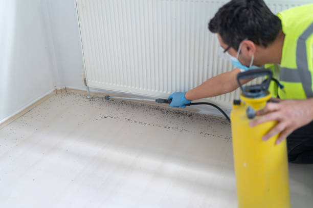 Best Pest Prevention Services  in Queen Creek, AZ